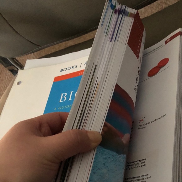 Biology, A Guide to the Natural World - Picture 2 of 2